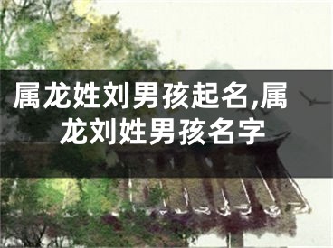 属龙姓刘男孩起名,属龙刘姓男孩名字