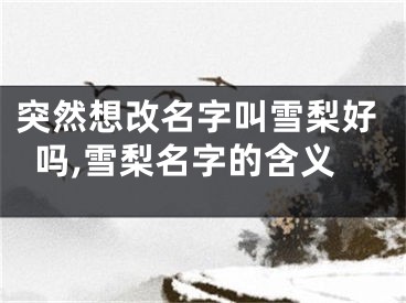 突然想改名字叫雪梨好吗,雪梨名字的含义