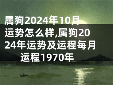 属狗2024年10月运势怎么样,属狗2024年运势及运程每月运程1970年