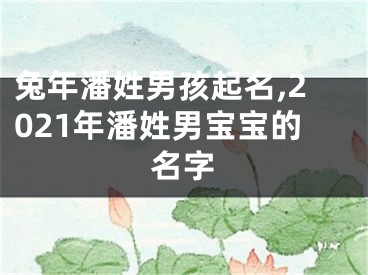 兔年潘姓男孩起名,2021年潘姓男宝宝的名字