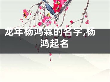 龙年杨鸿霖的名字,杨鸿起名