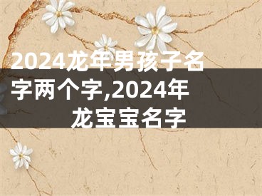 2024龙年男孩子名字两个字,2024年龙宝宝名字