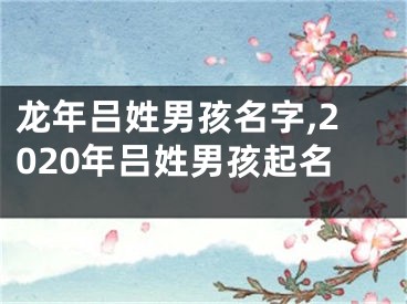 龙年吕姓男孩名字,2020年吕姓男孩起名