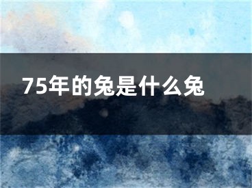 75年的兔是什么兔