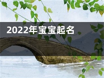  2022年宝宝起名 