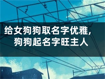 给女狗狗取名字优雅,狗狗起名字旺主人