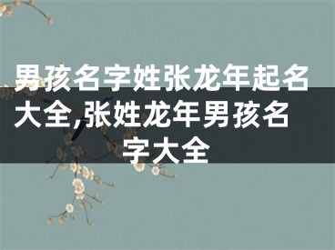 男孩名字姓张龙年起名大全,张姓龙年男孩名字大全