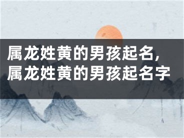 属龙姓黄的男孩起名,属龙姓黄的男孩起名字