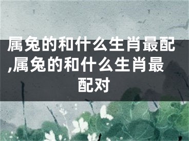 属兔的和什么生肖最配,属兔的和什么生肖最配对