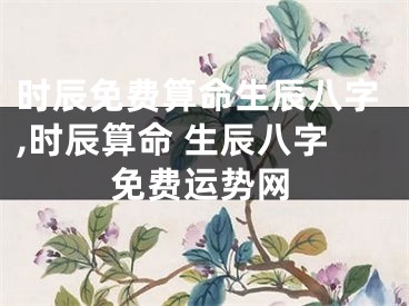 时辰免费算命生辰八字,时辰算命 生辰八字免费运势网