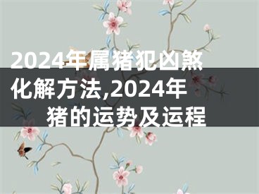 2024年属猪犯凶煞化解方法,2024年猪的运势及运程