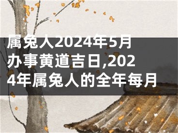 属兔人2024年5月办事黄道吉日,2024年属兔人的全年每月