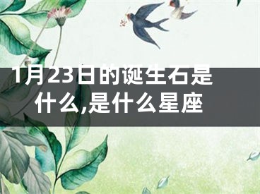 1月23日的诞生石是什么,是什么星座