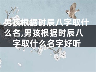 男孩根据时辰八字取什么名,男孩根据时辰八字取什么名字好听