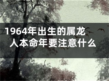 1964年出生的属龙人本命年要注意什么