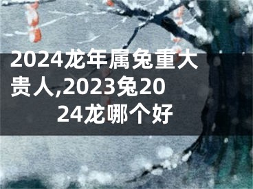 2024龙年属兔重大贵人,2023兔2024龙哪个好