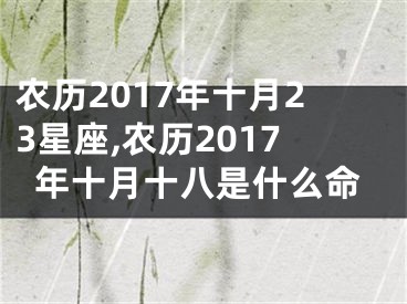 农历2017年十月23星座,农历2017年十月十八是什么命