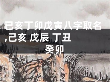 已亥丁卯戊寅八字取名,己亥 戊辰 丁丑 癸卯