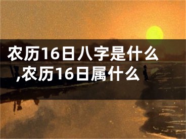 农历16日八字是什么,农历16日属什么