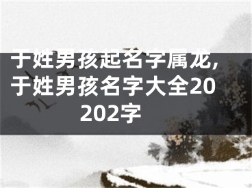 于姓男孩起名字属龙,于姓男孩名字大全20202字