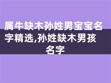 属牛缺木孙姓男宝宝名字精选,孙姓缺木男孩名字