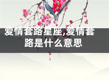 爱情套路星座,爱情套路是什么意思