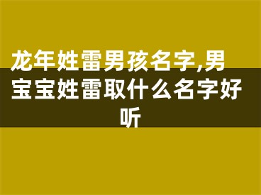 龙年姓雷男孩名字,男宝宝姓雷取什么名字好听