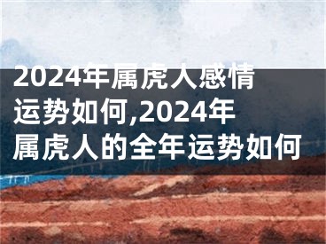 2024年属虎人感情运势如何,2024年属虎人的全年运势如何