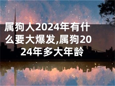 属狗人2024年有什么要大爆发,属狗2024年多大年龄