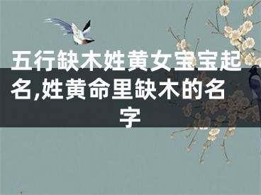 五行缺木姓黄女宝宝起名,姓黄命里缺木的名字