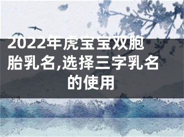 2022年虎宝宝双胞胎乳名,选择三字乳名的使用