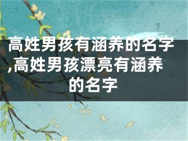 高姓男孩有涵养的名字,高姓男孩漂亮有涵养的名字