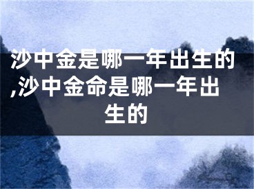 沙中金是哪一年出生的,沙中金命是哪一年出生的