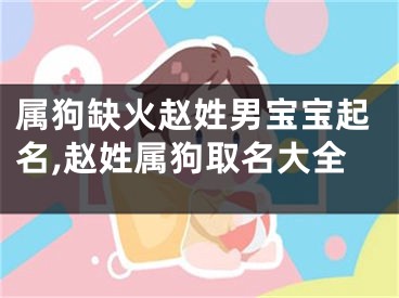 属狗缺火赵姓男宝宝起名,赵姓属狗取名大全