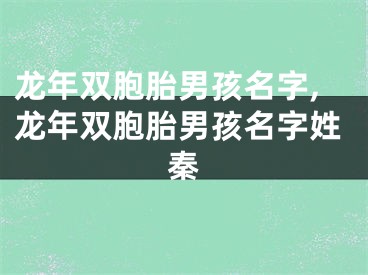 龙年双胞胎男孩名字,龙年双胞胎男孩名字姓秦