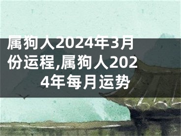 属狗人2024年3月份运程,属狗人2024年每月运势