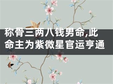 称骨三两八钱男命,此命主为紫微星官运亨通