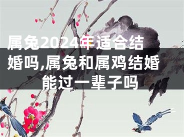 属兔2024年适合结婚吗,属兔和属鸡结婚能过一辈子吗