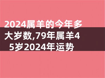 2024属羊的今年多大岁数,79年属羊45岁2024年运势