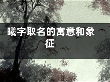  曦字取名的寓意和象征 