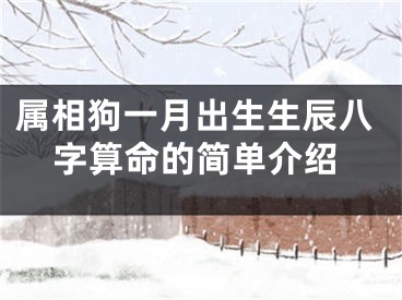 属相狗一月出生生辰八字算命的简单介绍