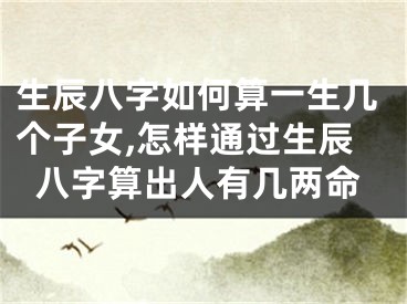 生辰八字如何算一生几个子女,怎样通过生辰八字算出人有几两命