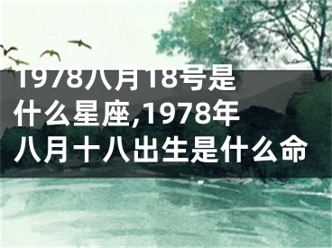 1978八月18号是什么星座,1978年八月十八出生是什么命