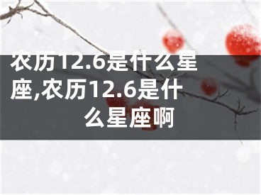 农历12.6是什么星座,农历12.6是什么星座啊