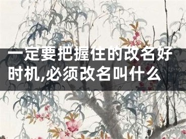 一定要把握住的改名好时机,必须改名叫什么