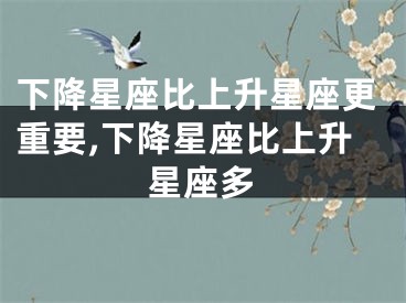 下降星座比上升星座更重要,下降星座比上升星座多