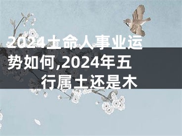 2024土命人事业运势如何,2024年五行属土还是木