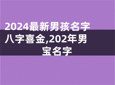 2024最新男孩名字八字喜金,202年男宝名字