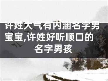 许姓大气有内涵名字男宝宝,许姓好听顺口的名字男孩