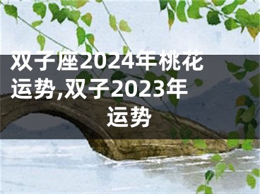 双子座2024年桃花运势,双子2023年运势